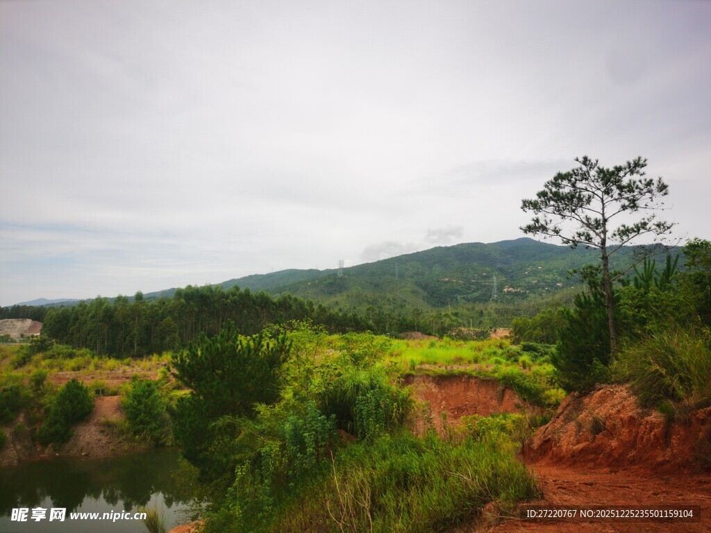 山间湖畔绿意盎然风景