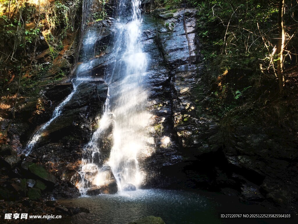 森林中的美丽瀑布景观