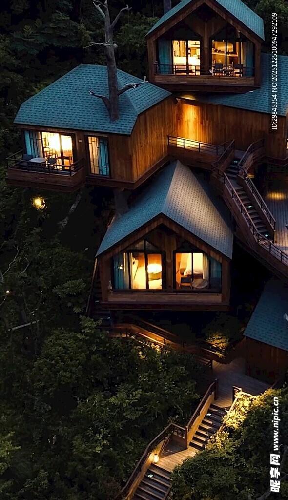 森林中的梦幻灯光小屋