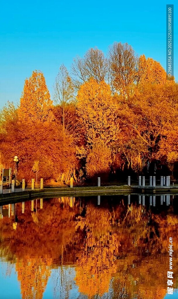 秋日湖畔绚烂树木倒影