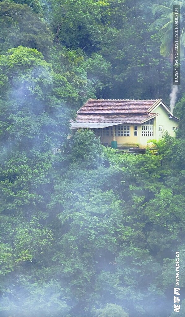 山林间的隐秘小屋