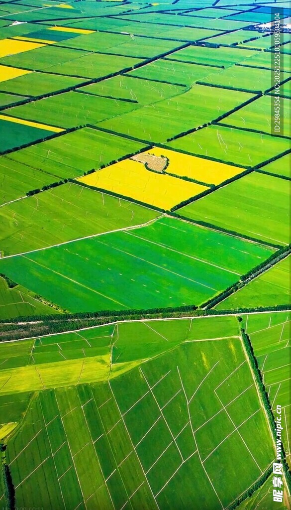 田园风光航拍美景