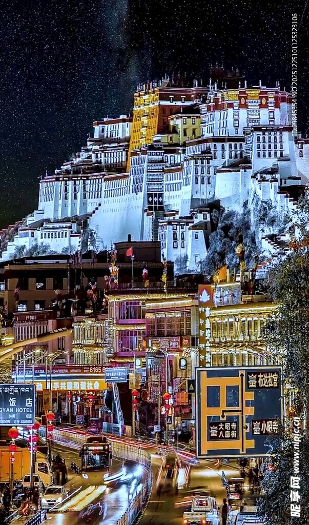 布达拉宫夜景璀璨迷人