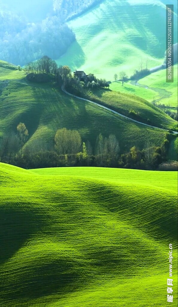 翠绿山丘田园风光美景