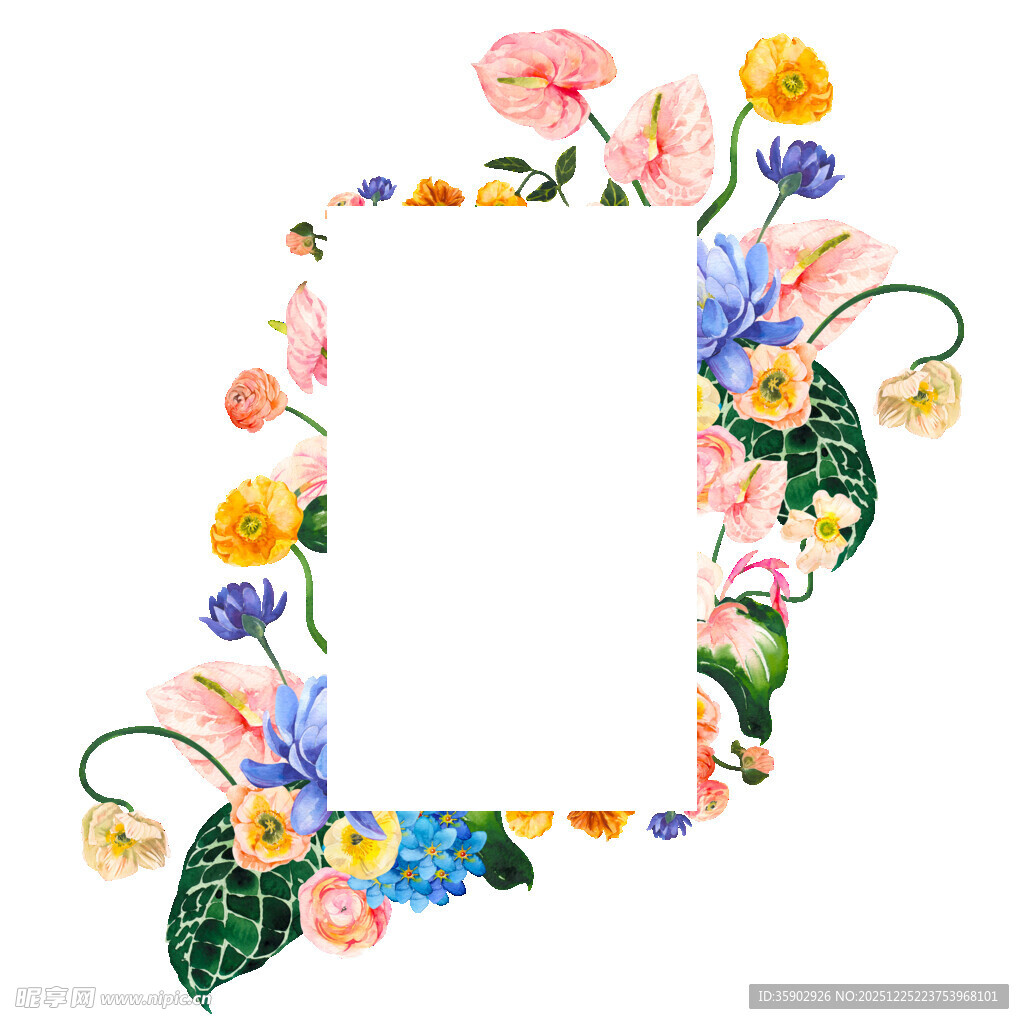 花卉边框装饰空白图片