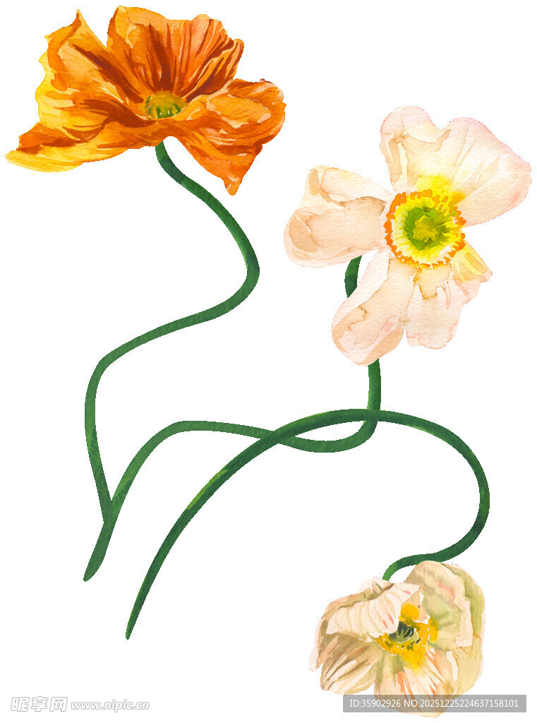 手绘多彩花朵插画