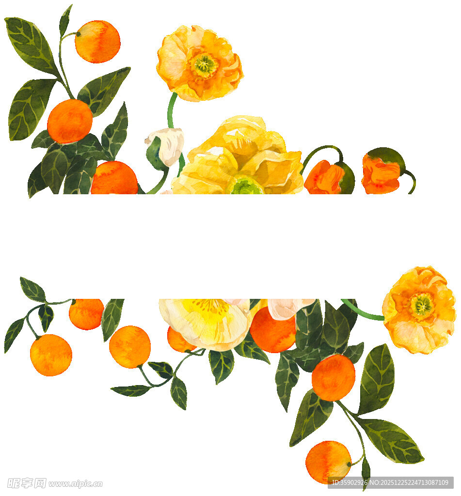 手绘黄玫瑰与橘果装饰图