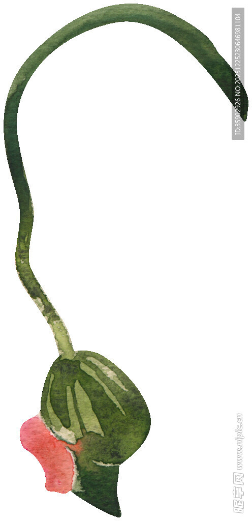 弯曲藤蔓上的粉绿植物