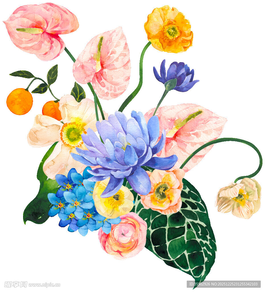 缤纷花卉水彩插画