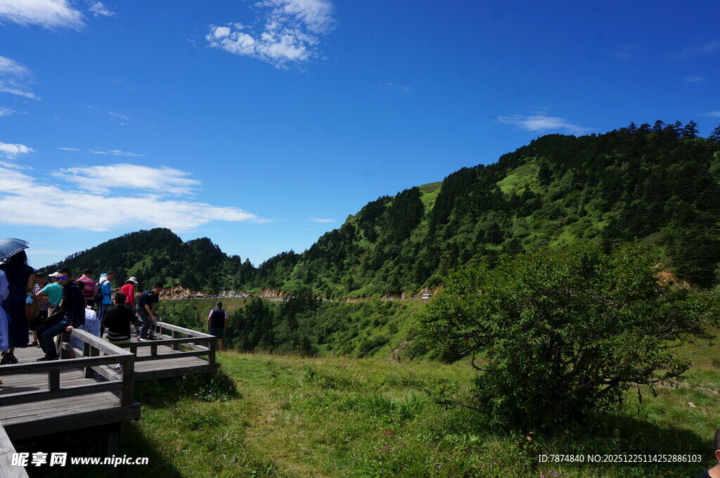 山间栈道上的游客风景