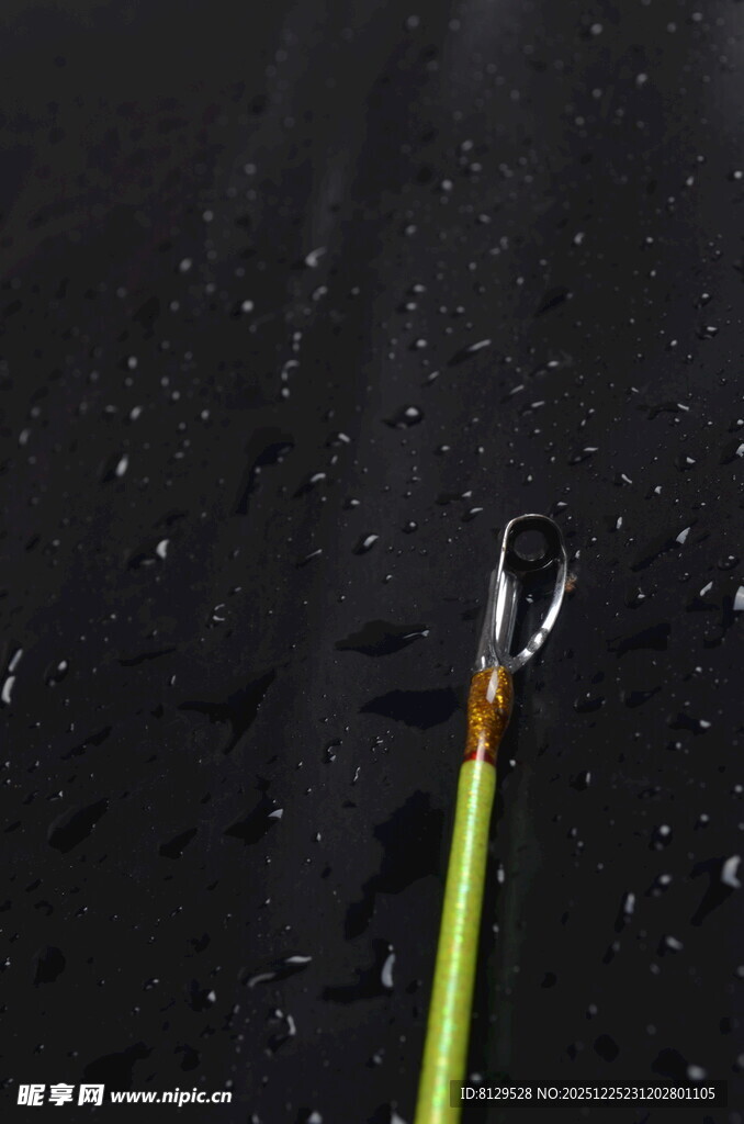 雨中弯折的翠绿植物茎