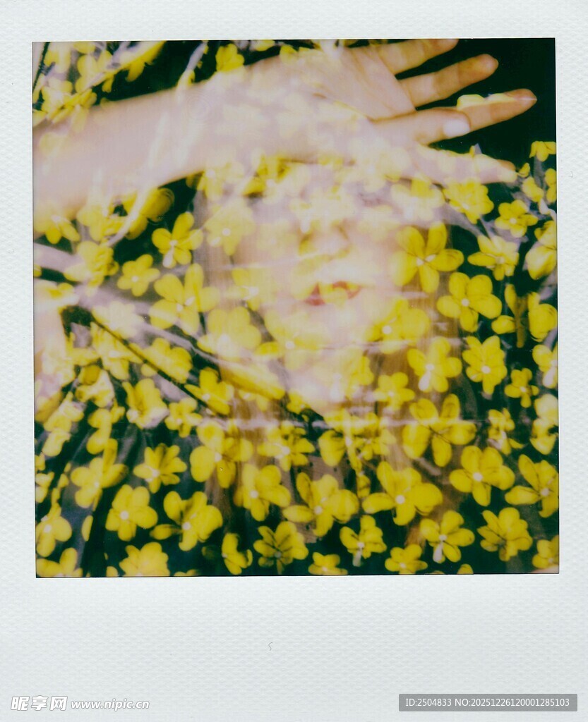 手抚黄色花朵特写