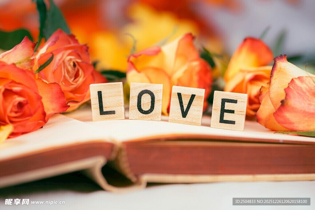 书本上的浪漫爱意表达