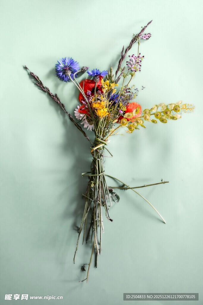 多彩干花束 自然之美呈现