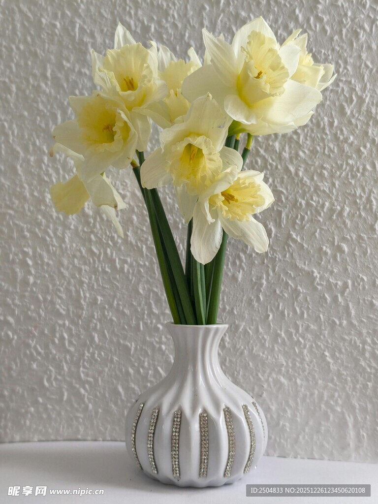 白色花瓶中的黄水仙