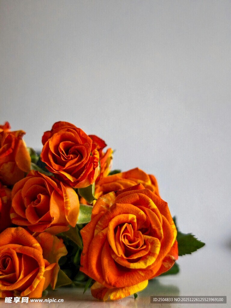 橙色玫瑰花束特写