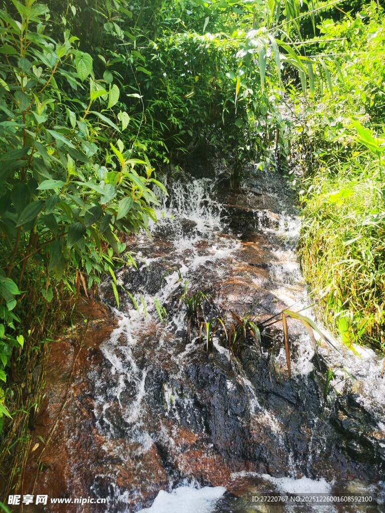 山间溪流潺潺绿意环绕