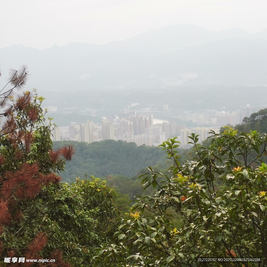 山林间远眺城市朦胧景致
