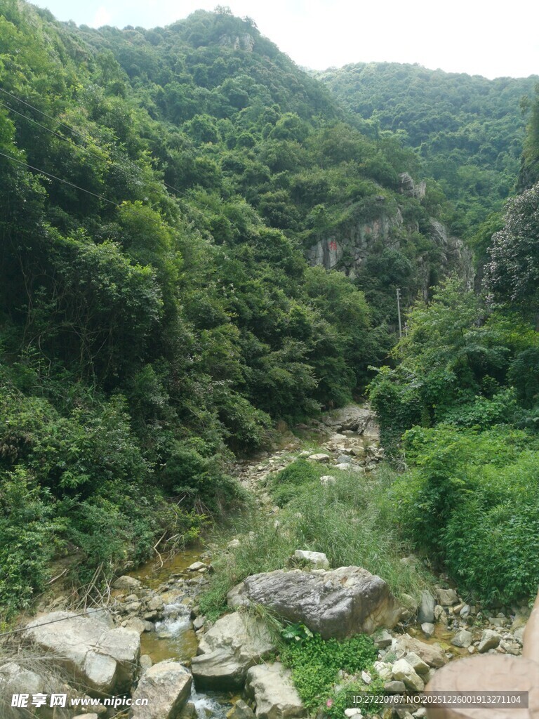山间绿意盎然的溪流景致