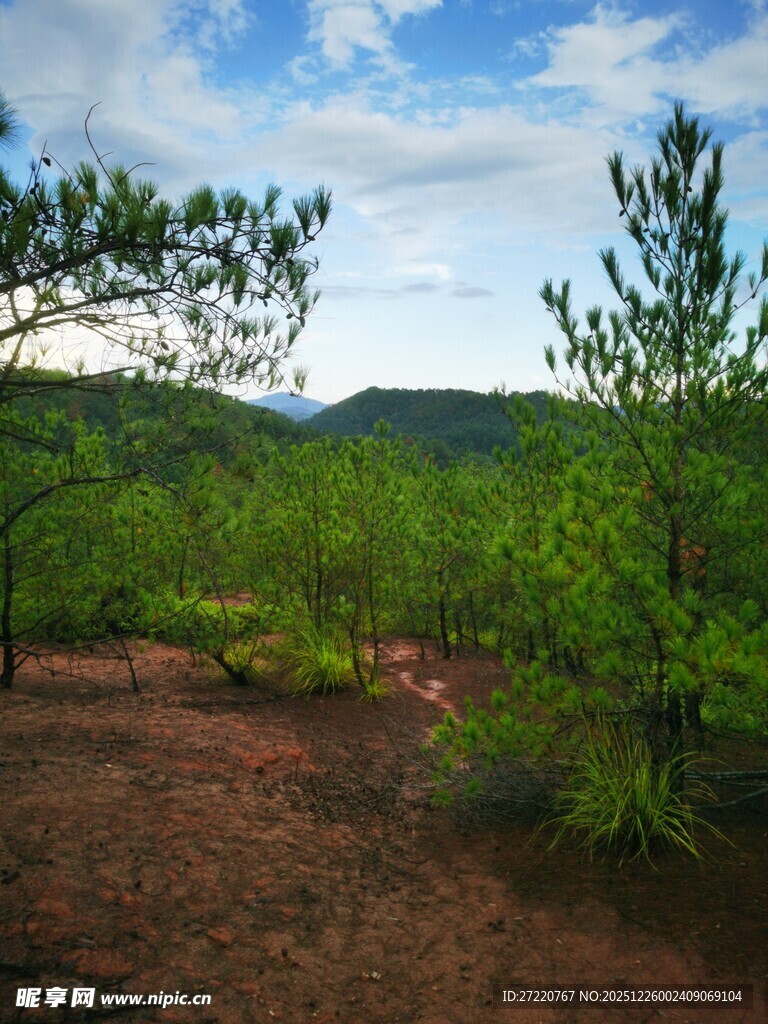山林风光 绿意盎然的景致