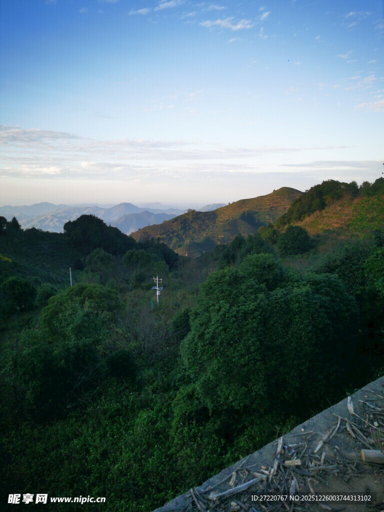 山间美景 绿意盎然的视野