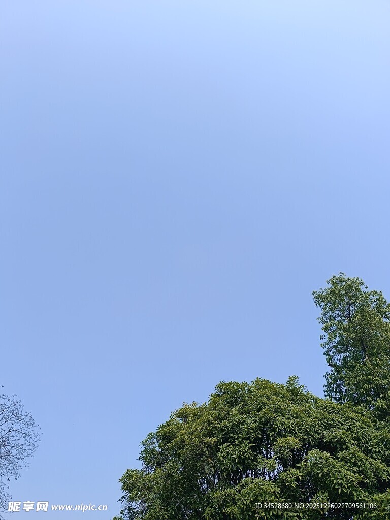 蓝天绿树风景图