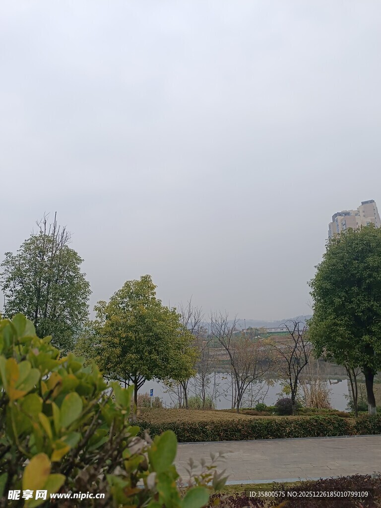 湖畔绿树环绕的宁静景致