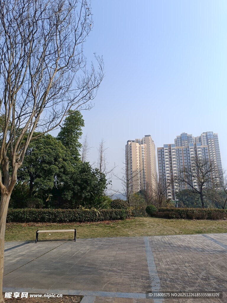 城市公园中的开阔休闲场地