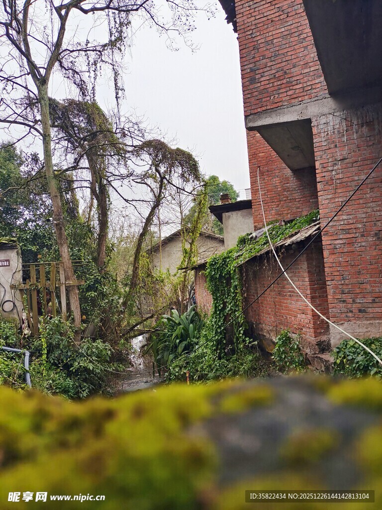 红砖建筑旁的绿植景观