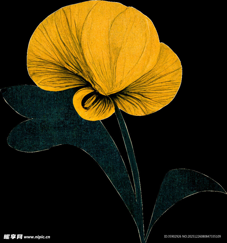 黄色花朵插画