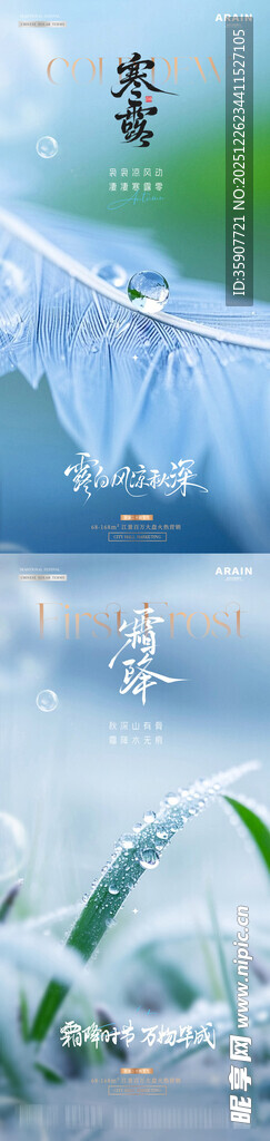 地产寒露霜降羽毛露珠海报