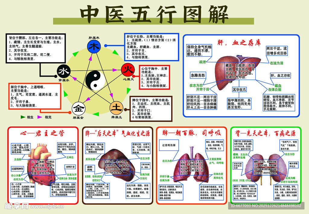 中医五行脏腑图解