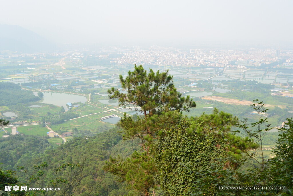 山顶眺望葱郁山林景观