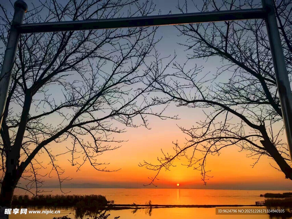 夕阳下的枯树与宁静湖面