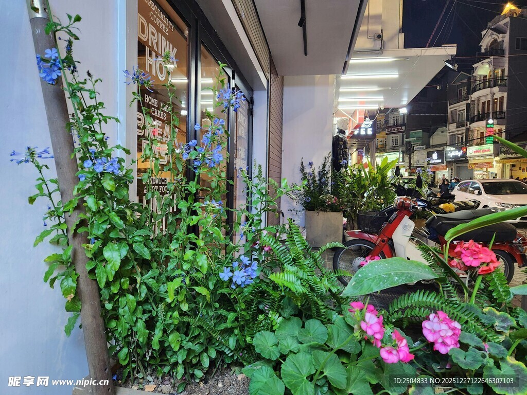 街边绿植花卉装点的景致