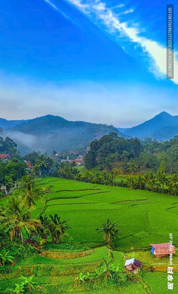 田园风光中的静谧乡村