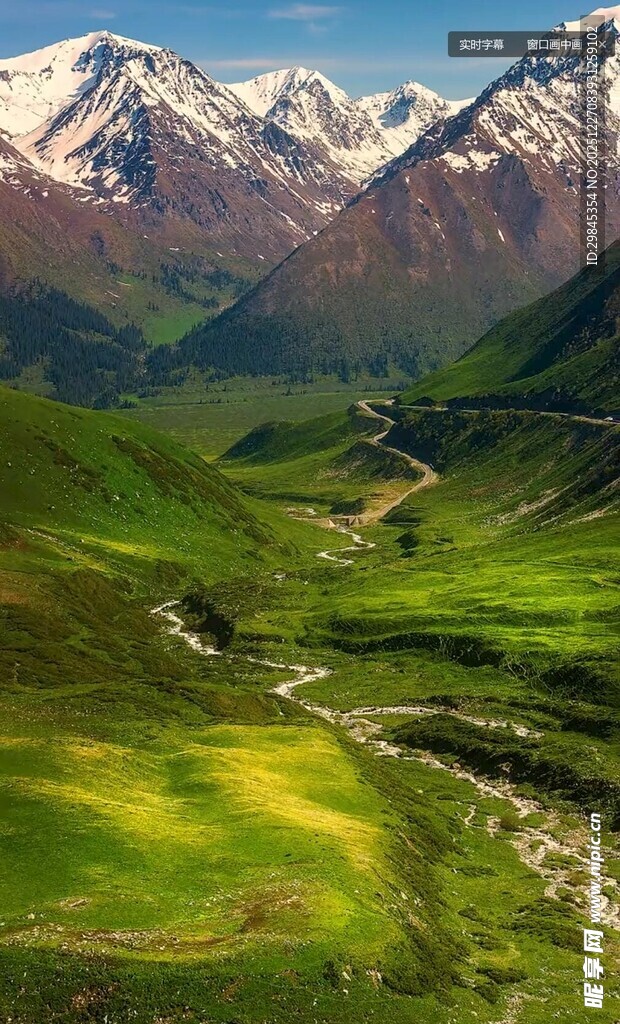 山间绿野与雪山壮美风光