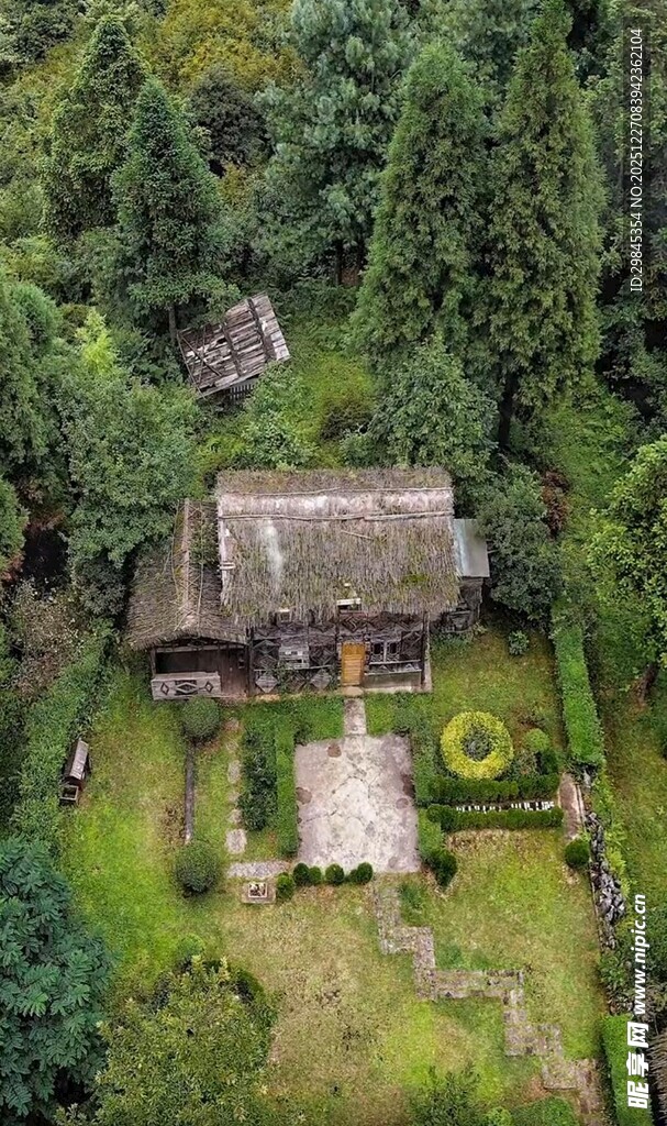 森林中的静谧小屋