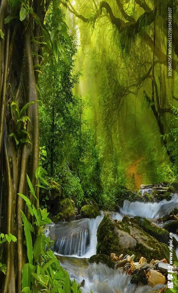 森林中的潺潺溪流美景