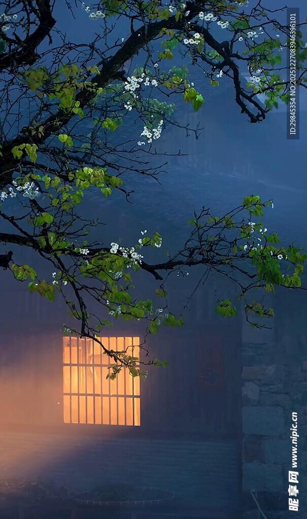 窗前暮色中的朦胧树枝