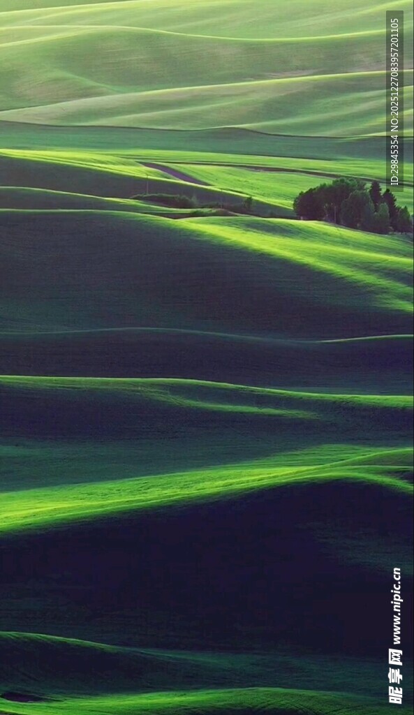 梦幻绿波草原景观