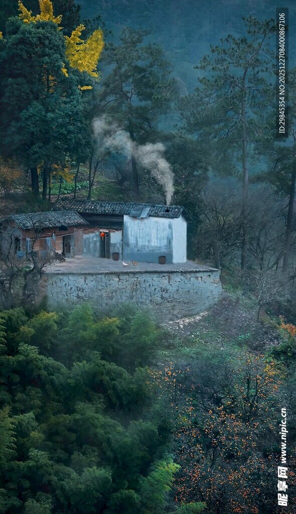 森林中的神秘雕塑