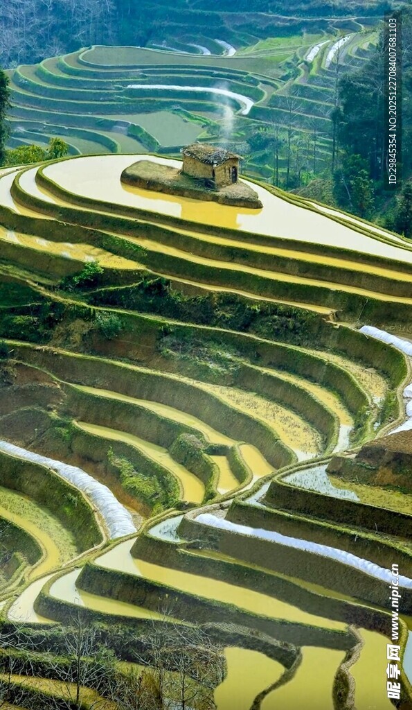 壮丽梯田景观
