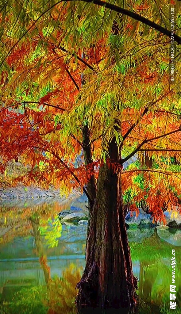 秋日枫林倒影美景