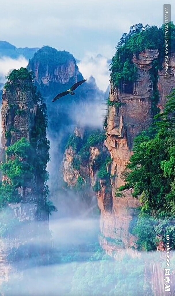 梦幻张家界奇峰云雾景