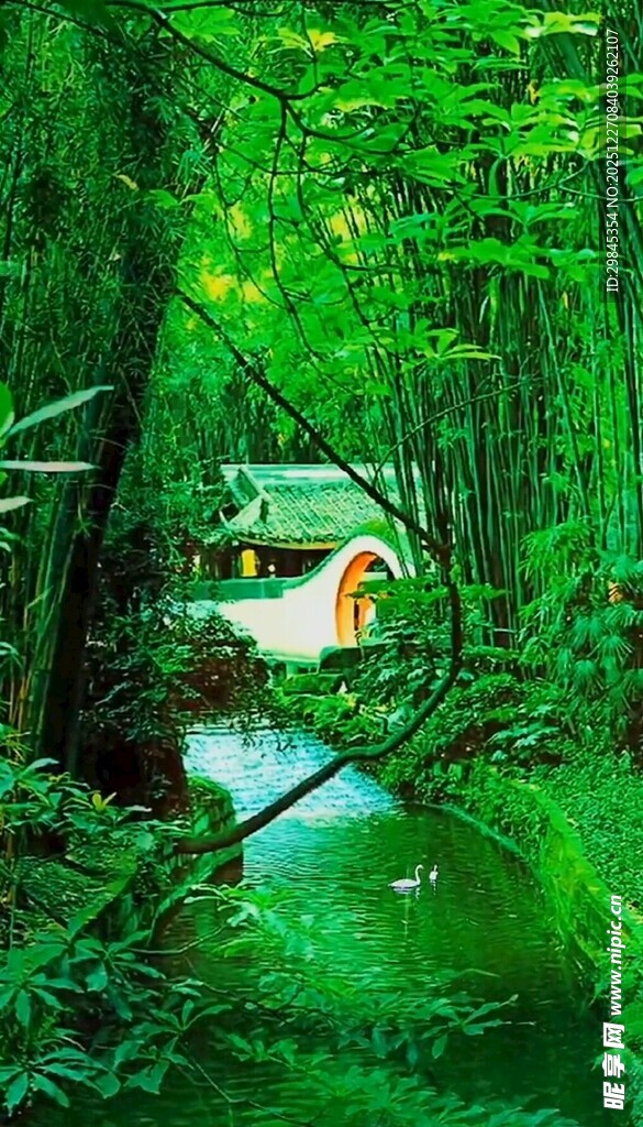 森林中的梦幻小屋