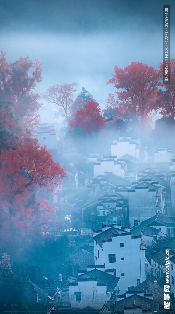 雾中红林映古村