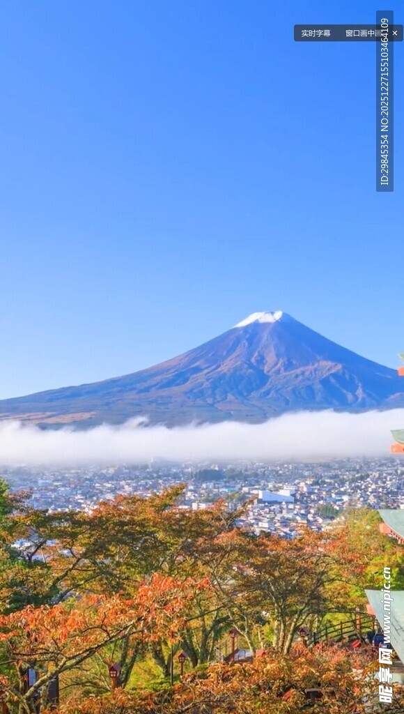 秋日富士山美景