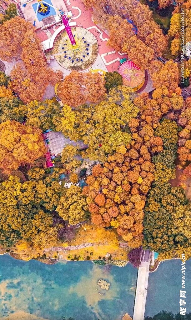 秋日湖畔斑斓树林美景