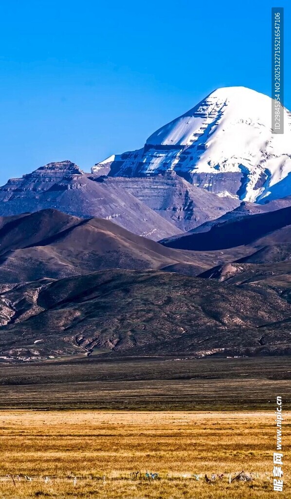雪山下的广袤荒原